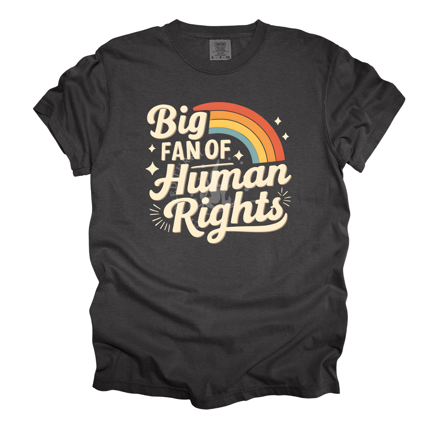 Big Fan of Human Rights Graphic Tee