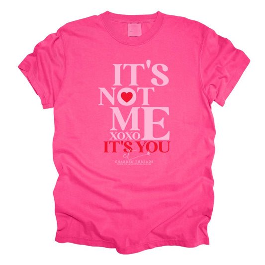 It’s Not Me, It’s You Graphic Tee & Crewneck Sweatshirt