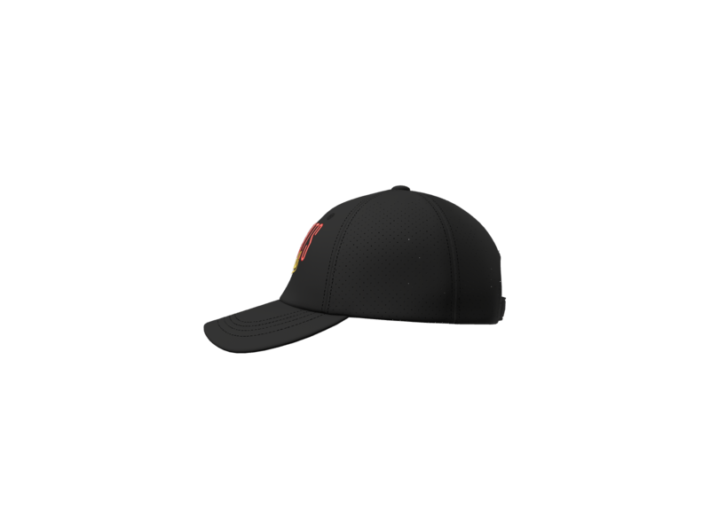 Carlisle Wildcats Softball Script Hat